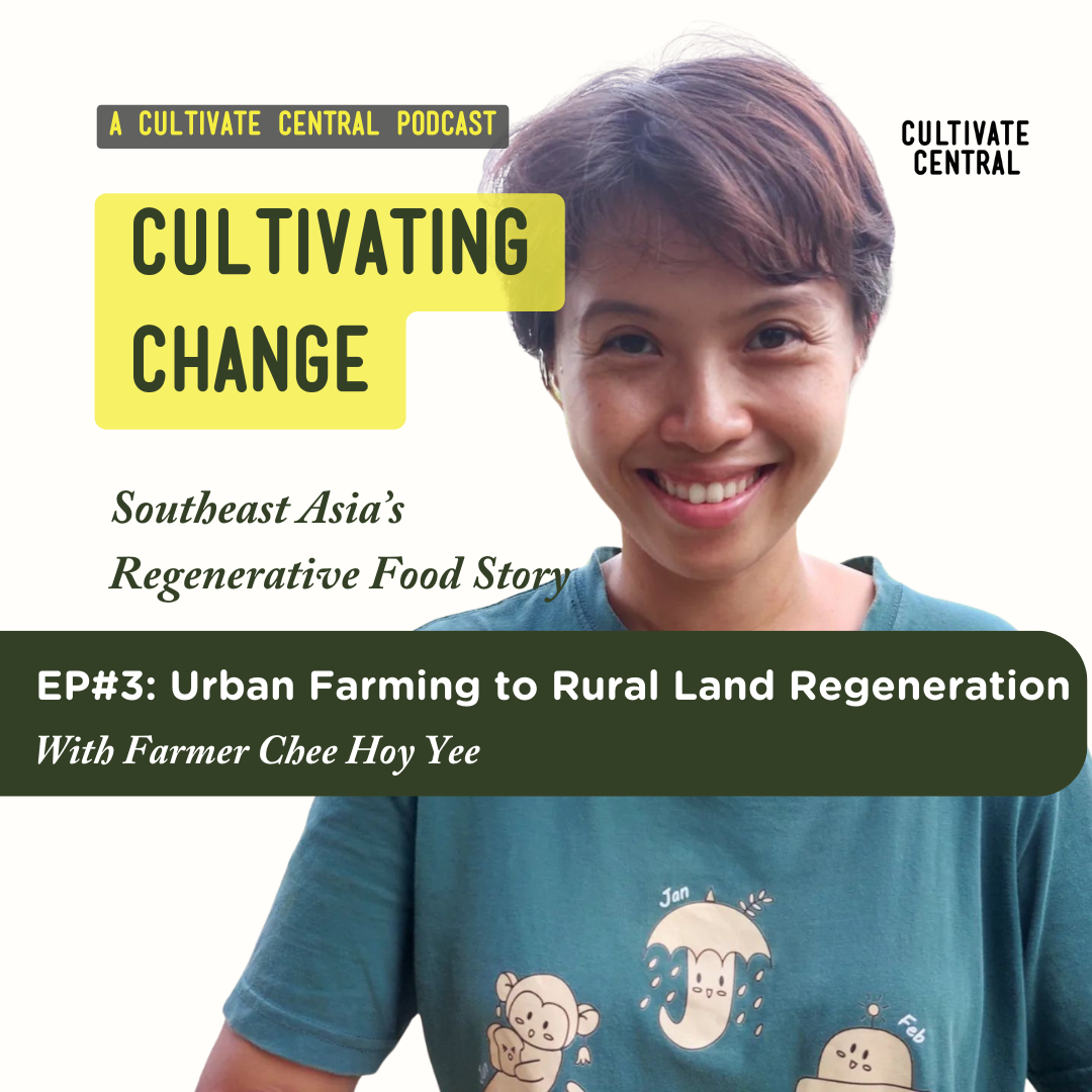 episode 3  thumbnail chee hoy yee