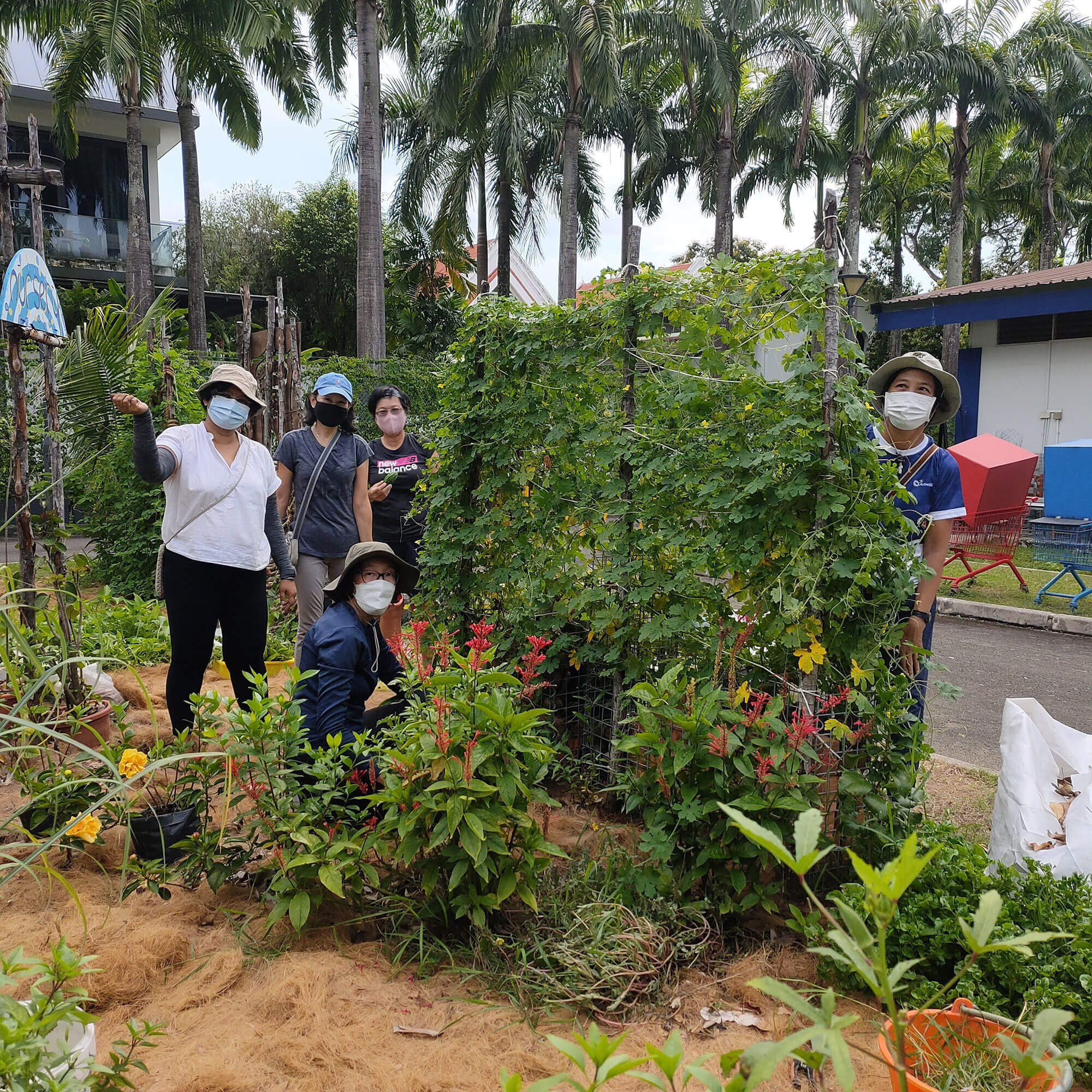 Volunteers at Goodman Community Farm