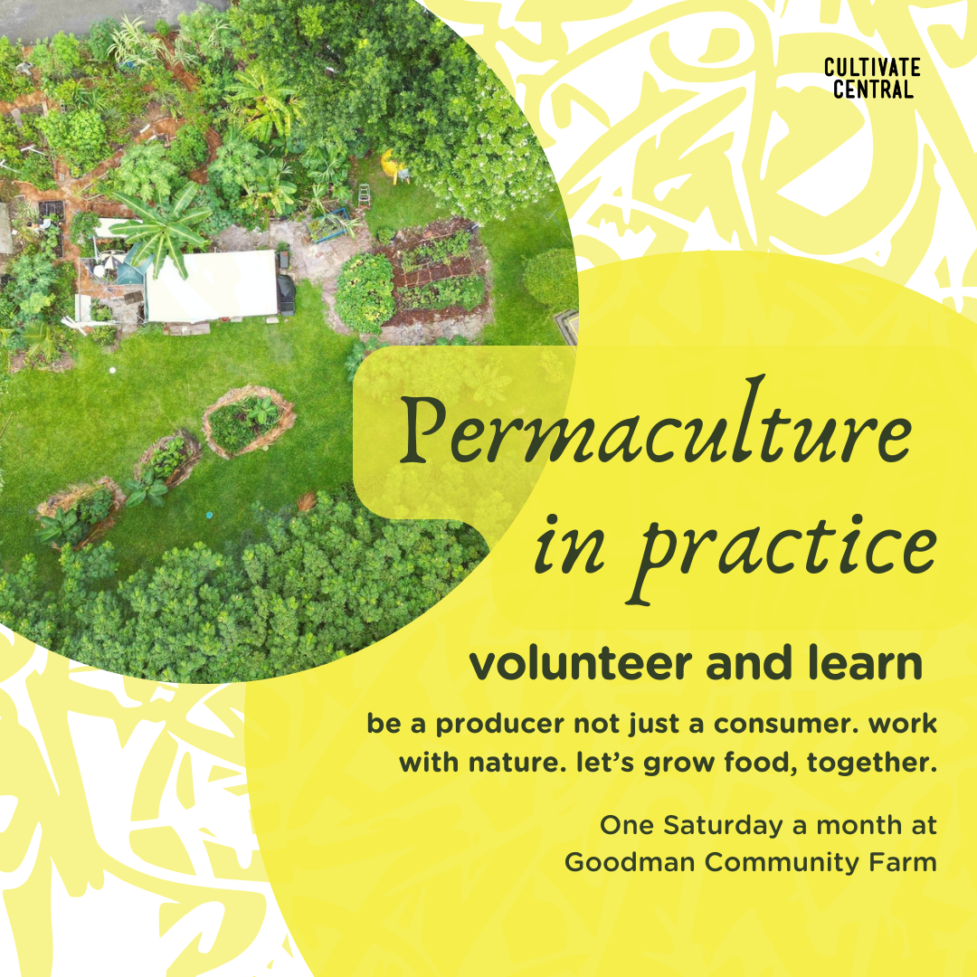 Volunteer & Learn Session