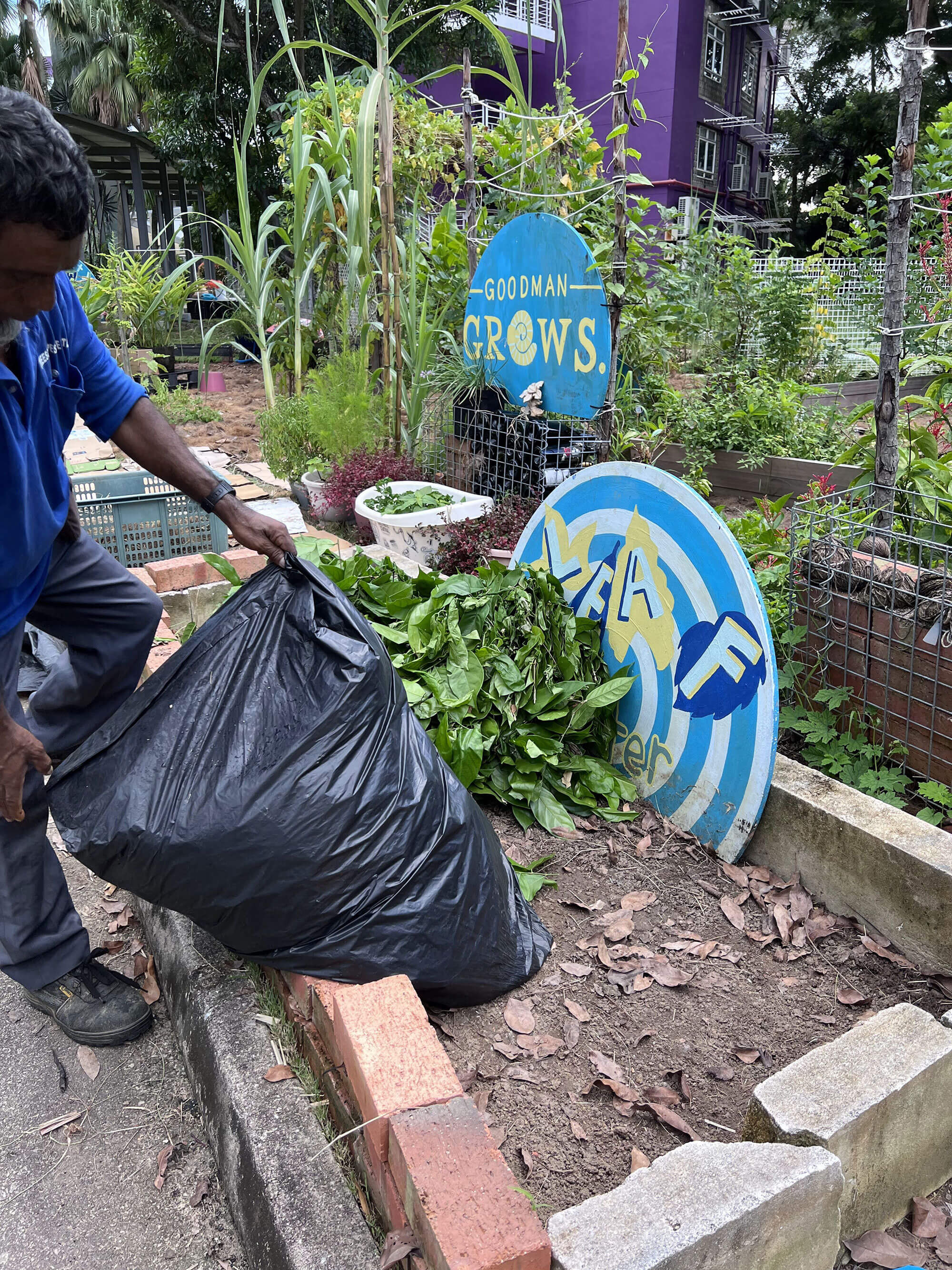 leaf litter collection