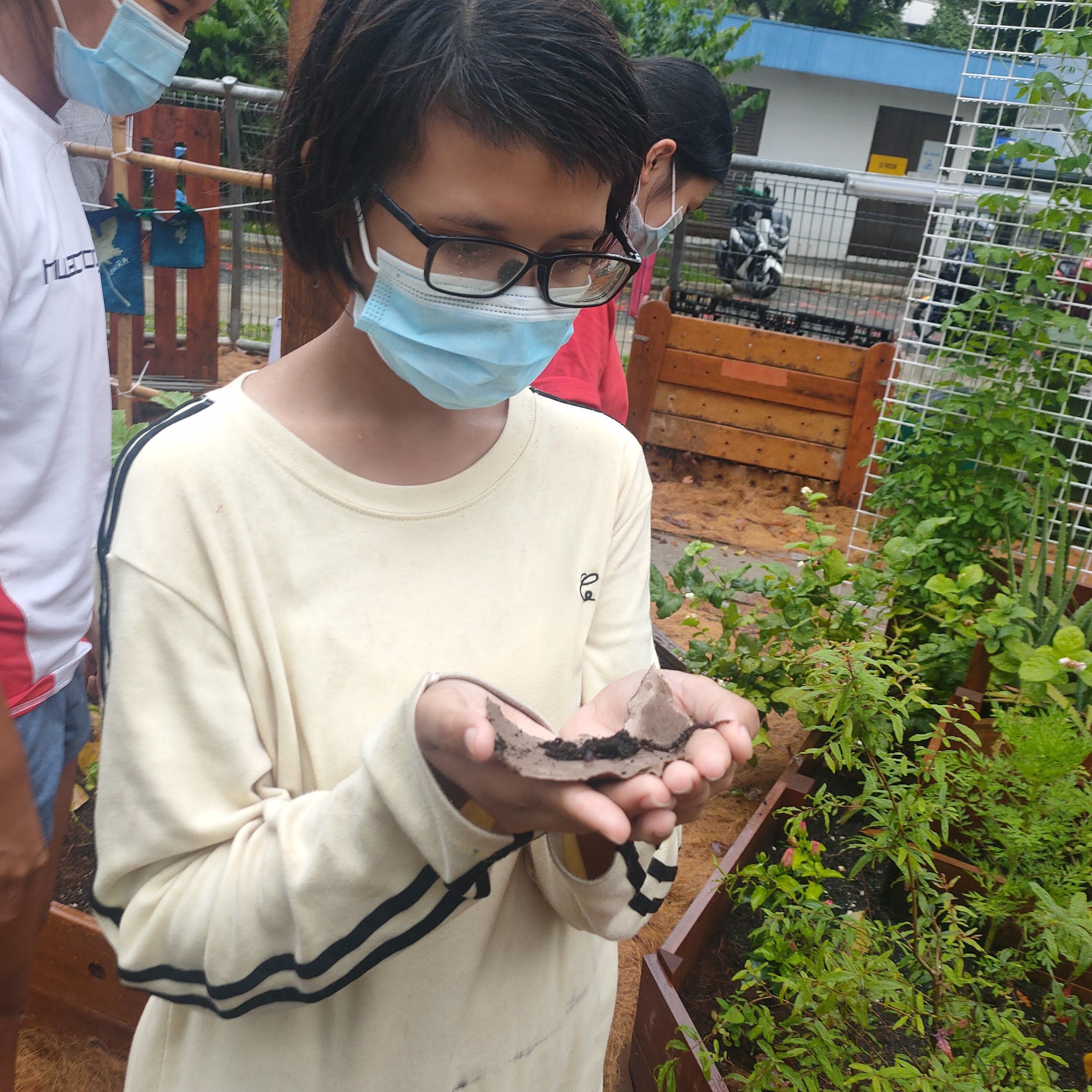 Learning about worms in composting