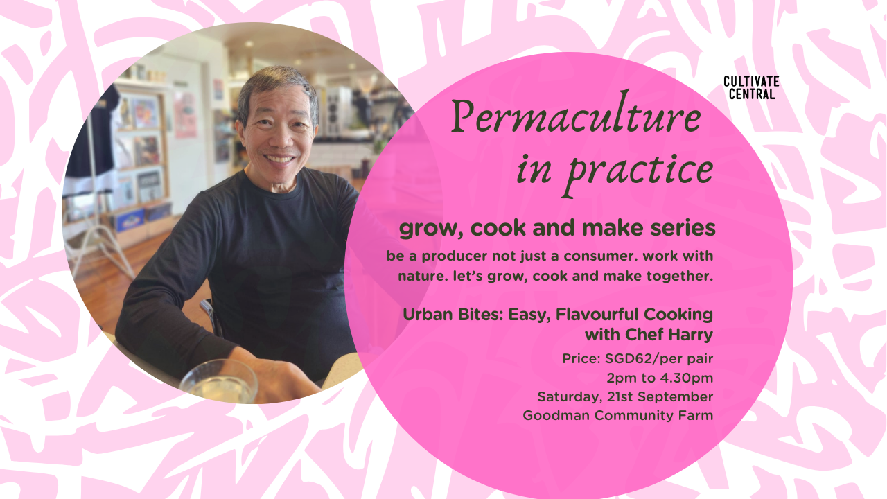 Grow Cook Make Chef Harry session