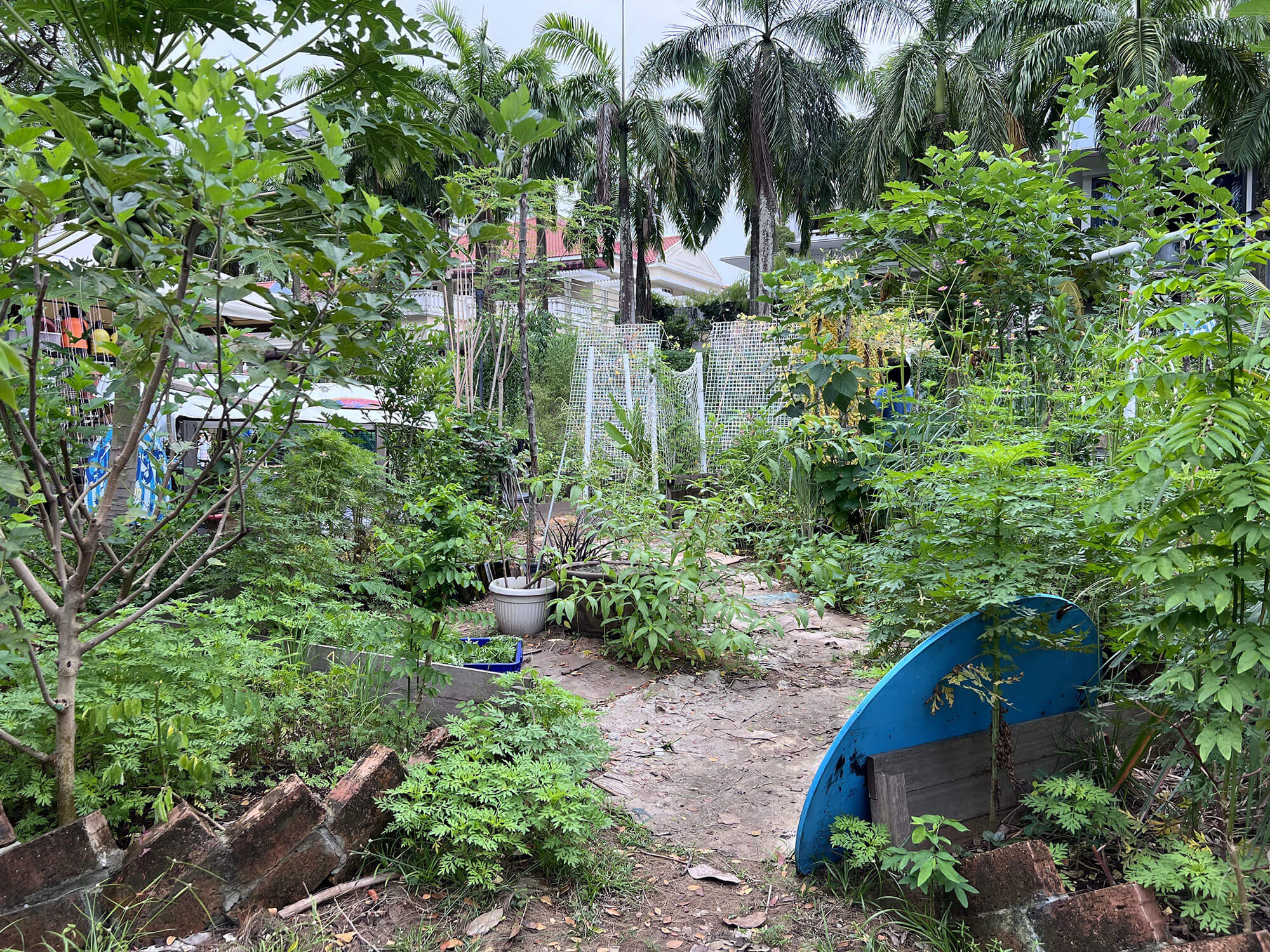 Rough pathways before