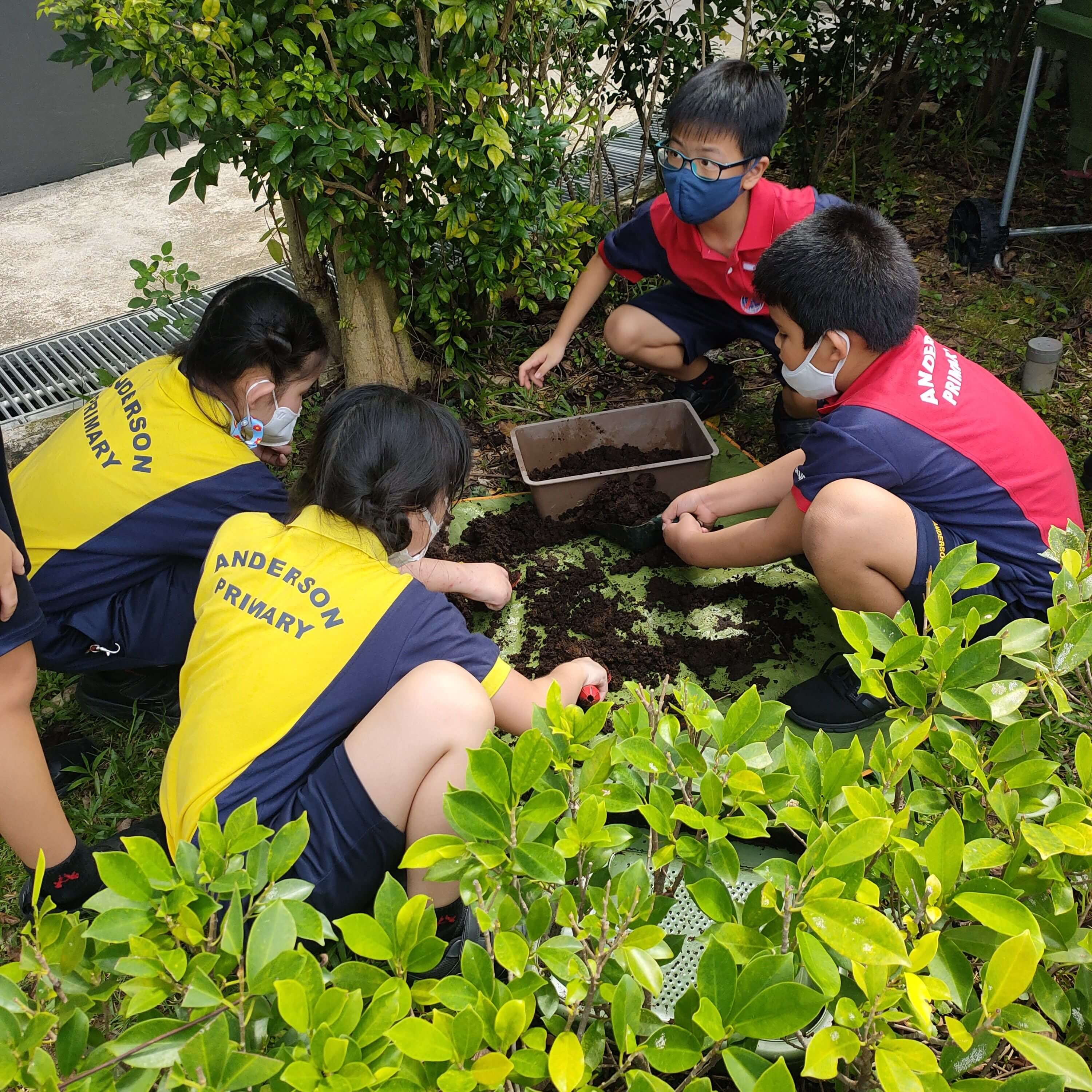 working in the school garden