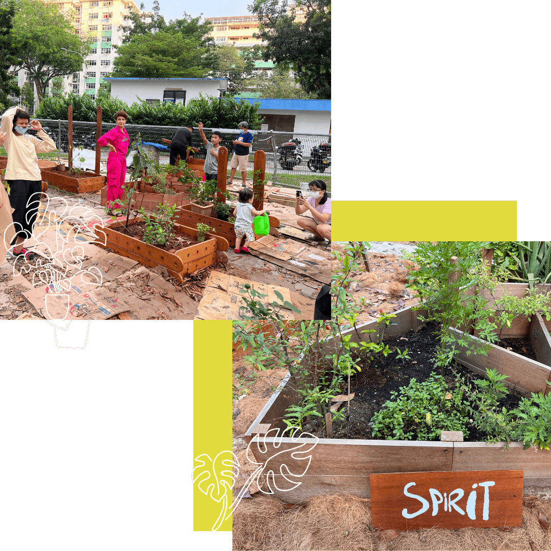 Kebun Rasa Sayang at Boonlay