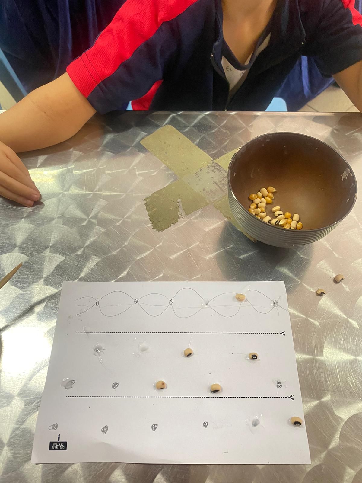 learning about seeds