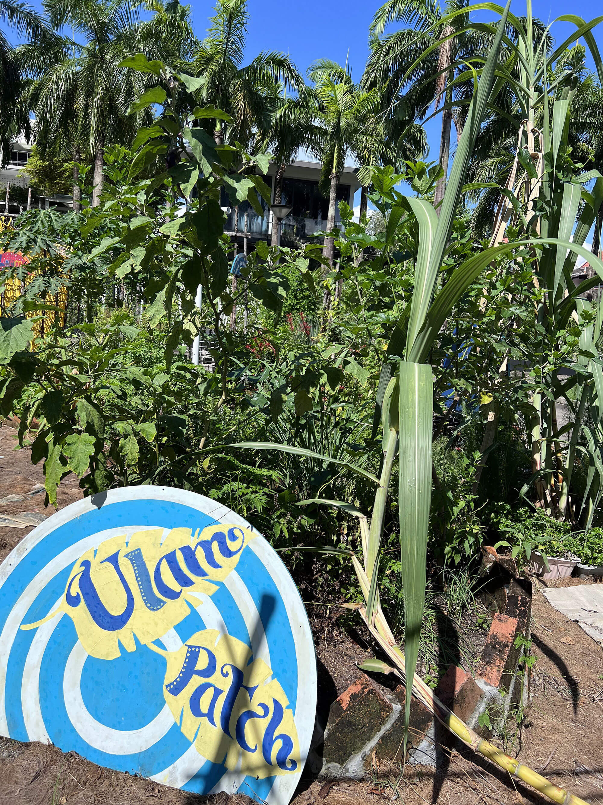 Ulam patch