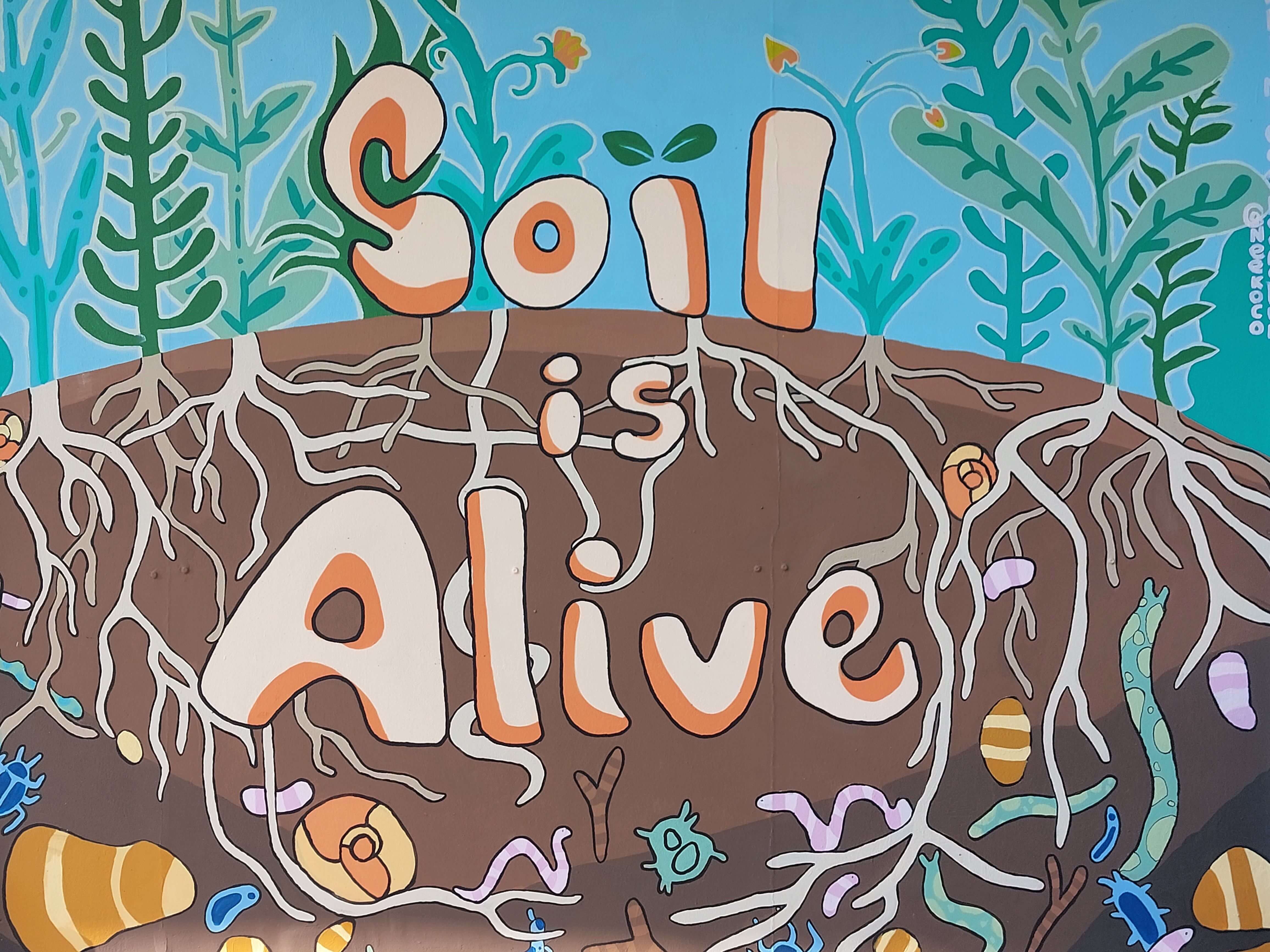 Mural Art
