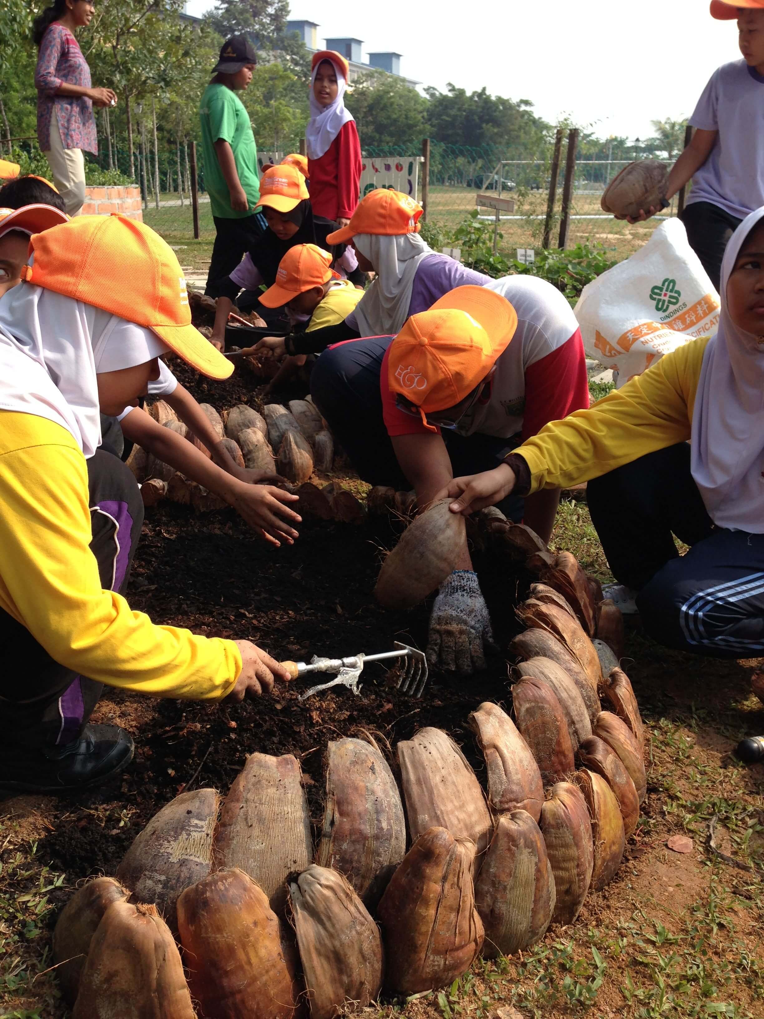 Building raised garden beds